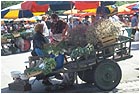 Ljubljana market