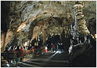 Postojna Cave