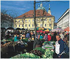 Ljubljana market